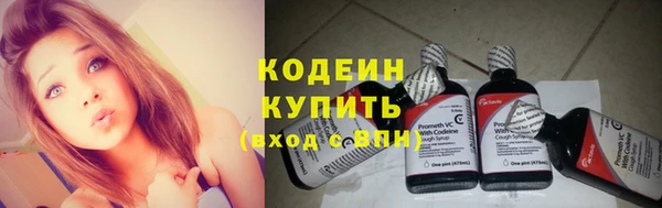 крисы Богородск
