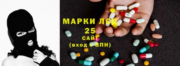 СК Строитель