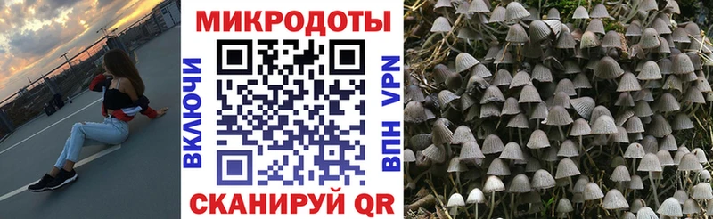 Псилоцибиновые грибы ЛСД сколько стоит Якутск